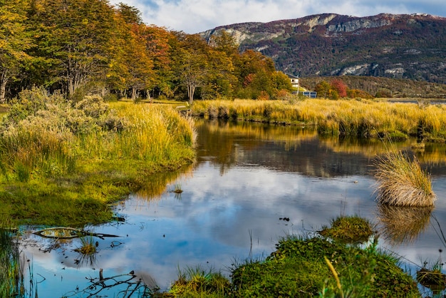 Parco nazionale della Tierra del Fuego, Patagonia, Argentina