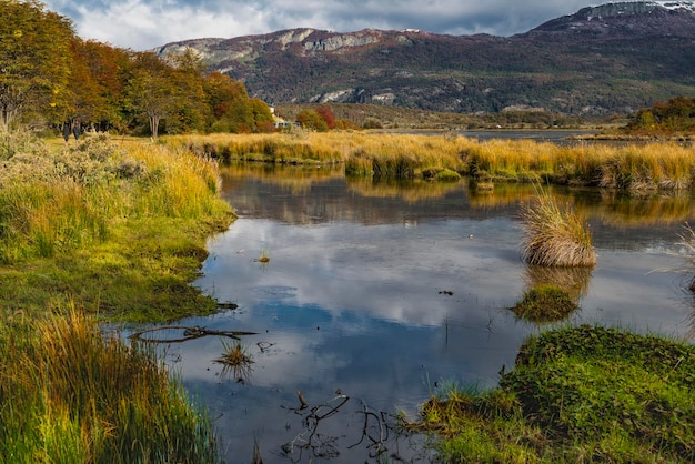 Parco nazionale della Tierra del Fuego, Patagonia, Argentina