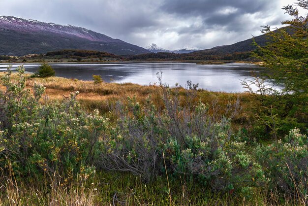 Parco nazionale della Tierra del Fuego, Patagonia, Argentina