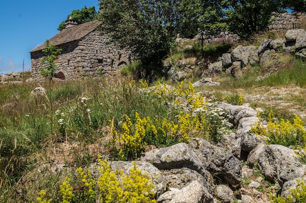 Parco nazionale delle Cévennes