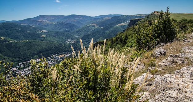 Parco nazionale delle Cévennes