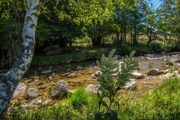 Parco nazionale delle Cévennes