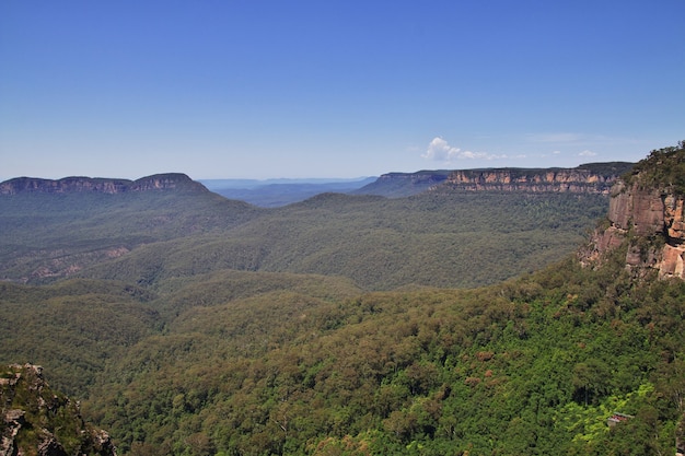 Parco nazionale delle montagne blu, Australia