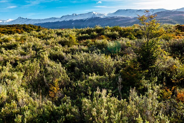 Parco nazionale di Bahia ensenada zaratiegui tierra del fuego Patagonia argentina