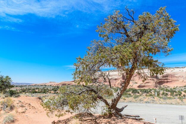 Parco nazionale di Canyonlands, USA