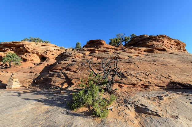 Parco nazionale di Canyonlands