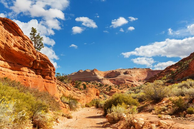 Parco nazionale di Capitol Reef, Utah