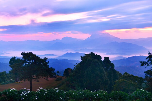 Parco nazionale di Huai Nam Dang, Chiang Mai, Tailandia