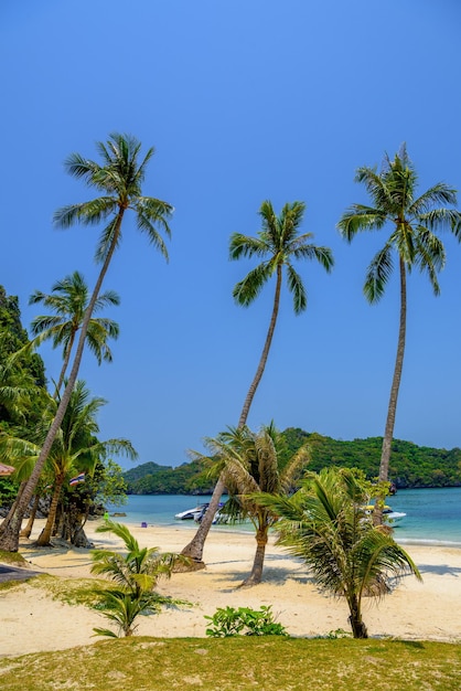 Parco nazionale di Koh Phaluai Mu Ko Ang Thong Golfo di Thailandia Si