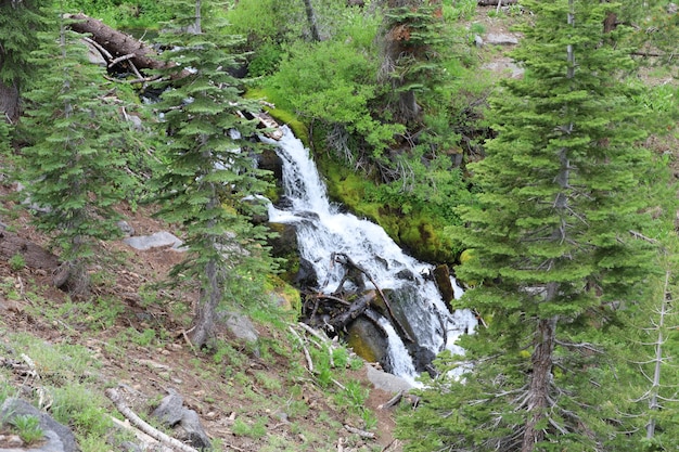 Parco nazionale di Lassen California