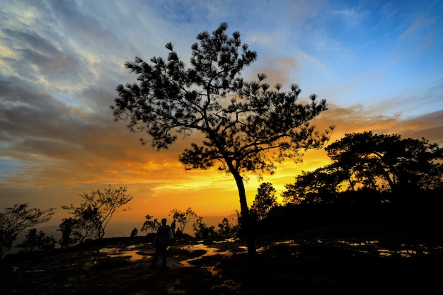 Parco nazionale di Phu Kradueng