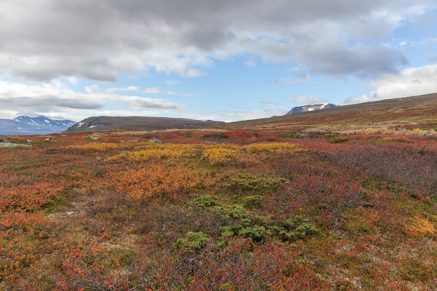 Parco nazionale di Sarek in Lapponia vista dalla montagna