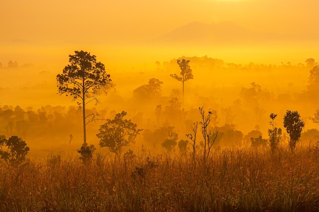 Parco nazionale di Thung Salaeng Luang Splendide colline verdi che brillano di un'alba calda Drammatica lucentezza silhouette