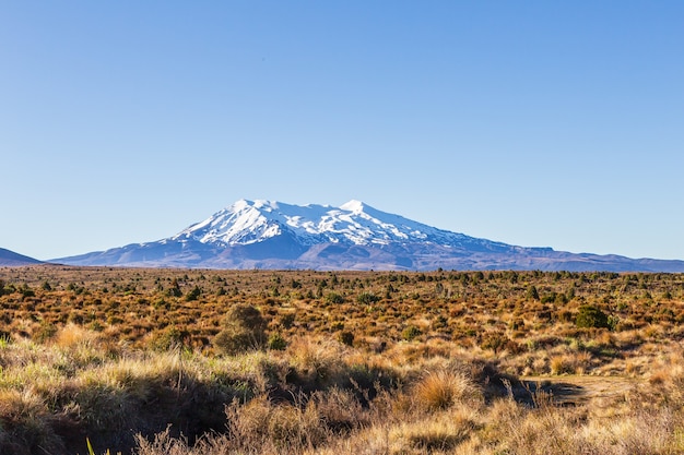 Parco nazionale di Tongariro