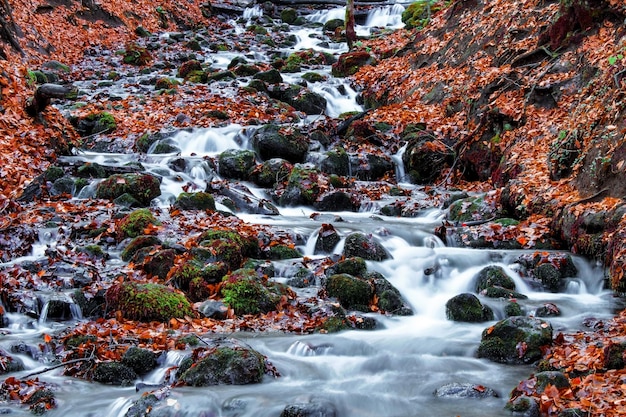 Parco nazionale di Yedigoller a Bolu Turchia