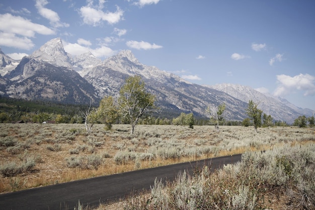 Parco nazionale di Yellowstone nel Wyoming USA