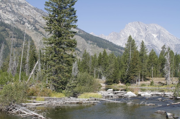 Parco nazionale di Yellowstone nel Wyoming USA