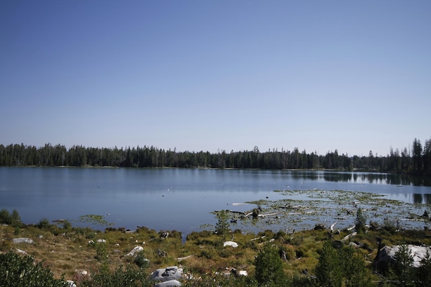 Parco nazionale di Yellowstone nel Wyoming USA