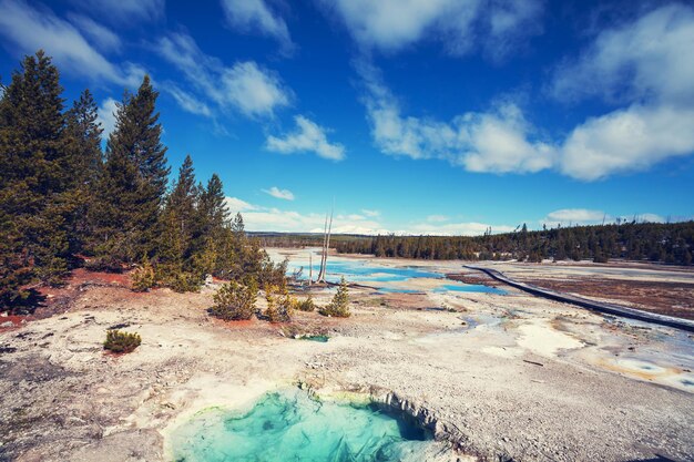 Parco nazionale di Yellowstone, USA