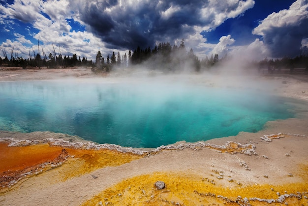 Parco nazionale di Yellowstone, USA