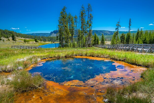 Parco Nazionale di Yellowstone