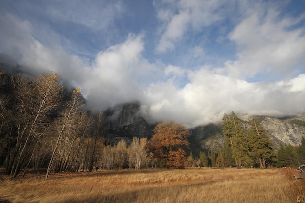 Parco nazionale di Yosemite in autunno