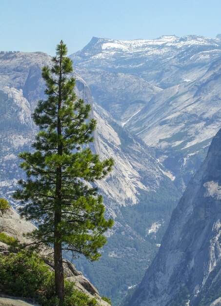 Parco nazionale di Yosemite