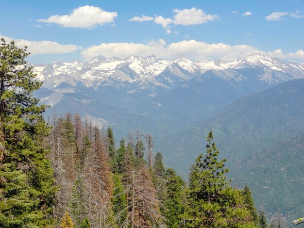 Parco nazionale di Yosemite