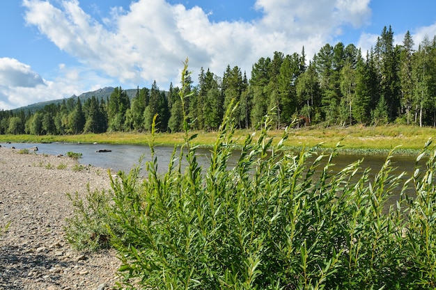 Parco nazionale di Yugydva sito UNESCO Foreste vergini di Komi