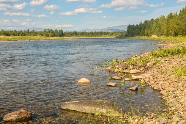 Parco nazionale di Yugydva sito UNESCO Foreste vergini di Komi