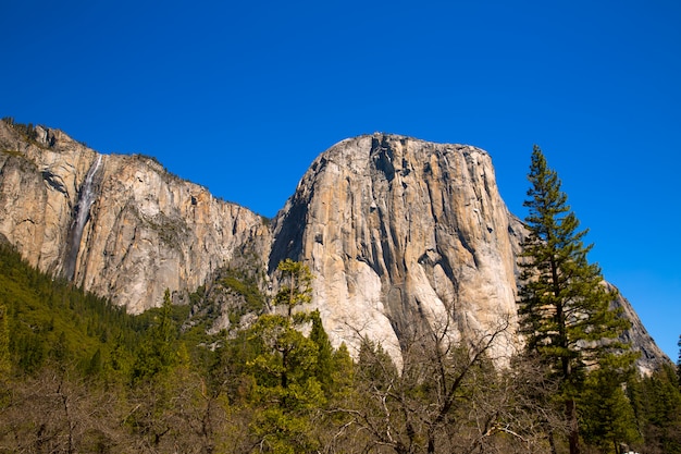 Parco nazionale Yosemite El Capitan California