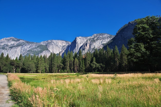 Parco nazionale Yosemite in California, USA