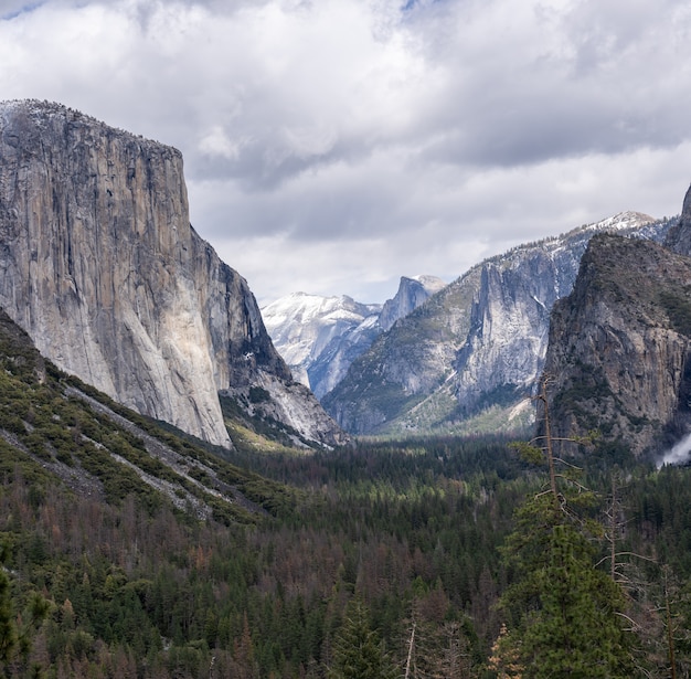 Parco Nazionale Yosemite