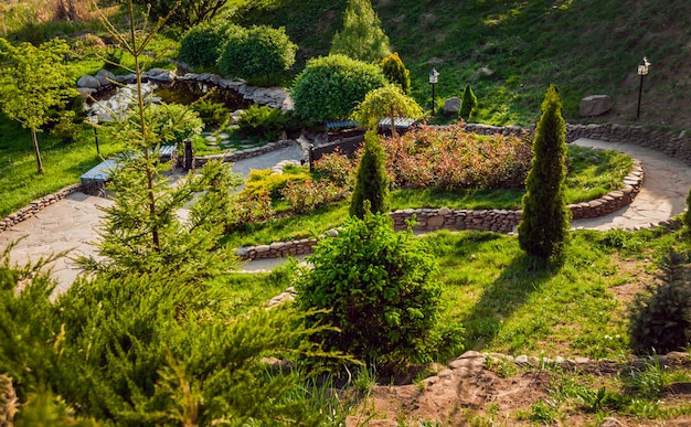 Parco pieno di vegetazione