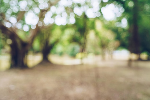 Parco pubblico di bokeh natura offuscata nei toni del verde con diversi alberi