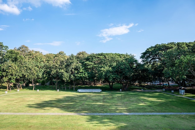 Parco pubblico, parco con alberi e cielo blu in una giornata di sole