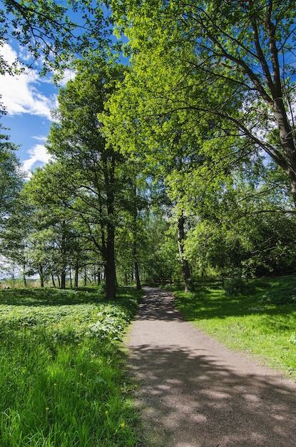 Parco soleggiato con sentiero