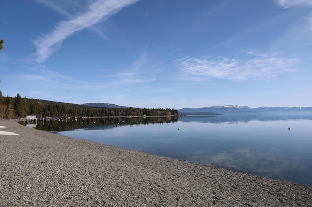 Parco statale del lago tahoe Sugar Pine