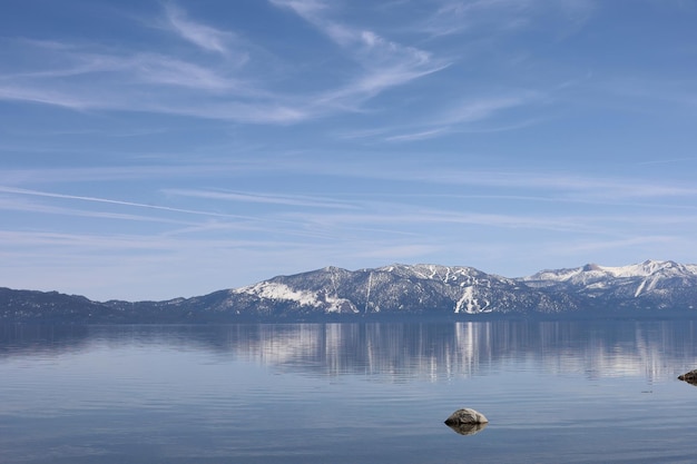 Parco statale del lago tahoe Sugar Pine