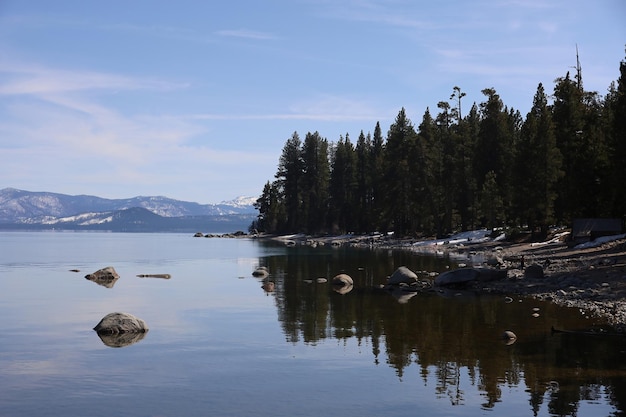 Parco statale del lago tahoe Sugar Pine