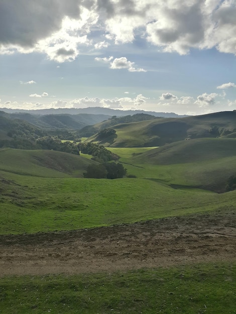 Parco statale di Briones in California