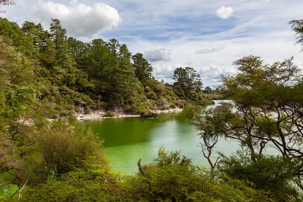 Parco termale Wai-o-tapu