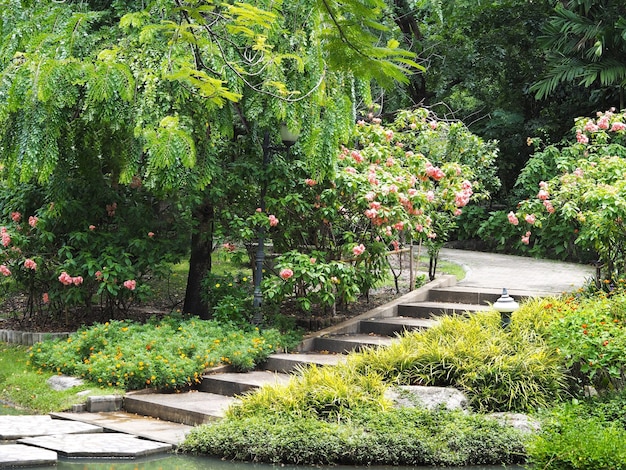 Parco verde con passerella e gradini