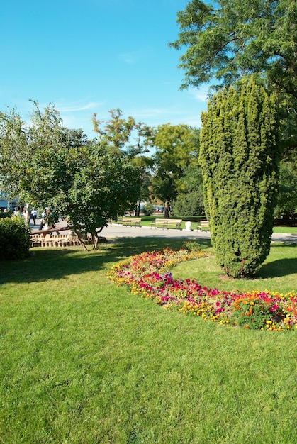 Parco verde soleggiato con fiori e alberi