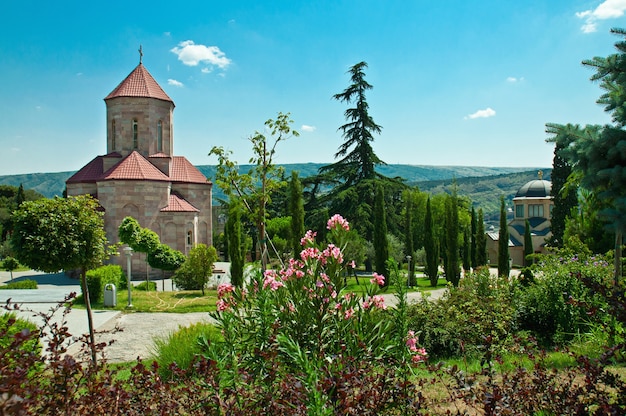 Parco vicino alla nuova chiesa ortodossa della Trinità a Tbilisi, Georgia