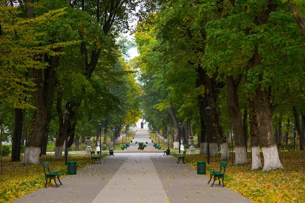 Parco vicolo con panchine.