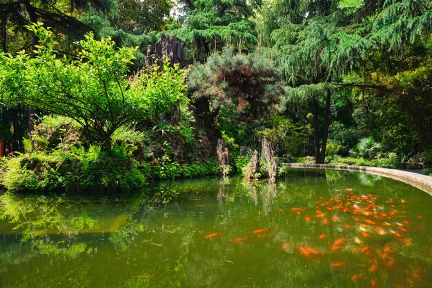 Parco Wangjianglou. Chengdu, Sichuan, Cina