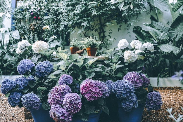 Pared llena de macetas con flores