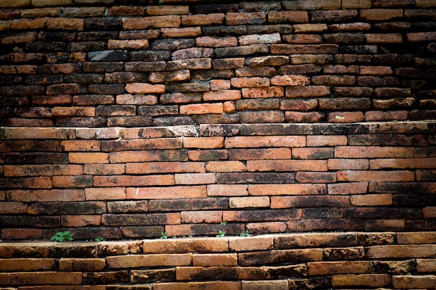 Parete antica a Ayutthaya, Tailandia