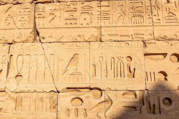 Parete con hyerogliphs egizi nel tempio di Hatshepsut vicino, Egitto